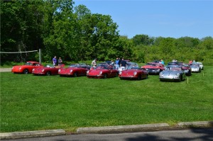 40th Anniversary Weekend - Great turnout of 356's and 911's 